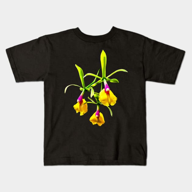 Orchid - Epicattleya Rene Marques Flame Thrower Kids T-Shirt by SusanSavad